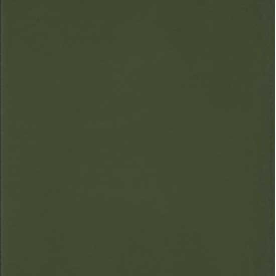 Входная дверь Викинг 296