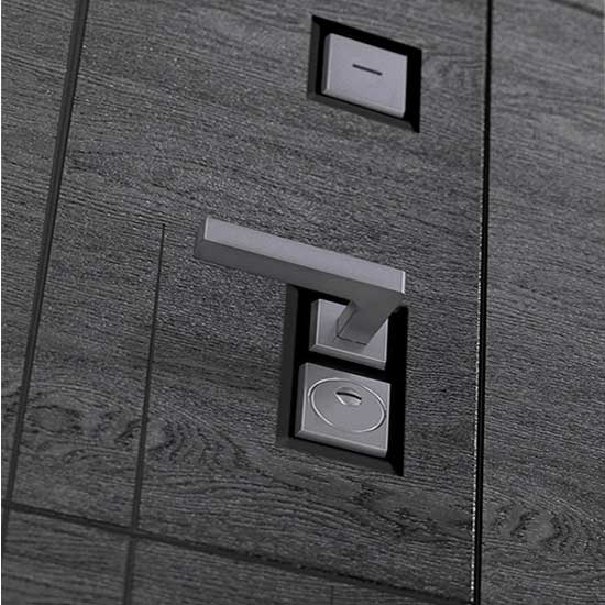 Входная дверь Бункер BN-09 ФЛ-609 Графит Софт