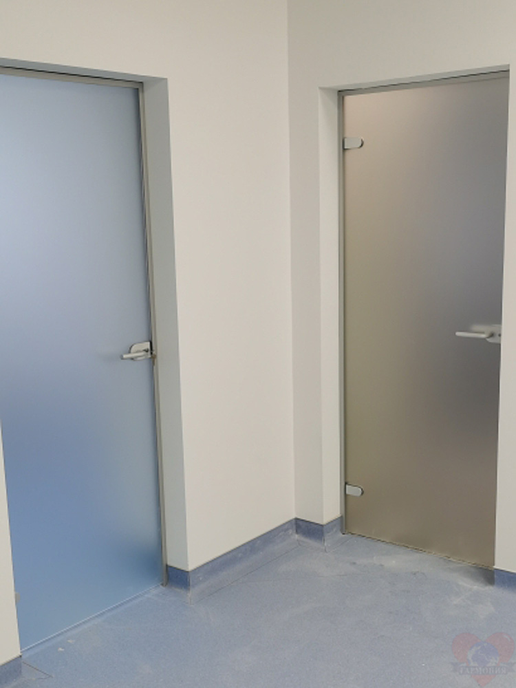 Стеклянная дверь Classic матовое бесцветное