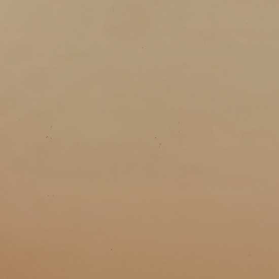 Входная дверь Викинг 34