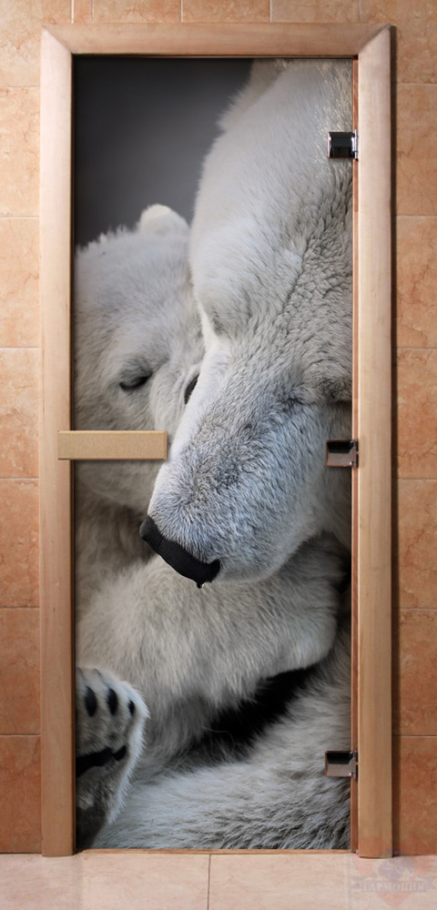 Стеклянный дверной блок для сауны с фотопечатью - А066